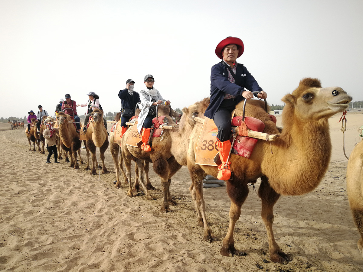 菲律宾环球国际360|主页