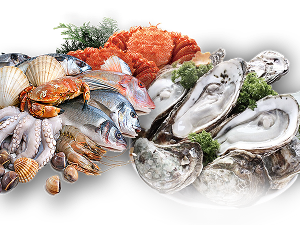 菲律宾环球国际360|主页