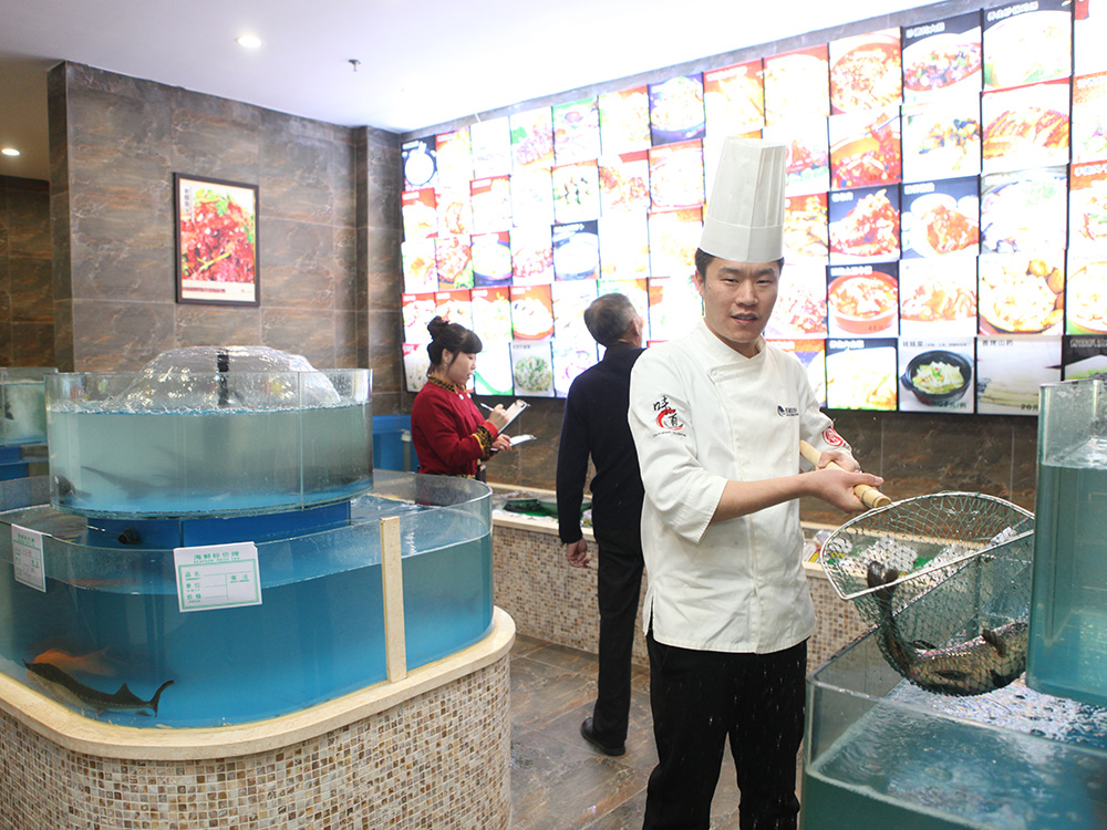 菲律宾环球国际360|主页