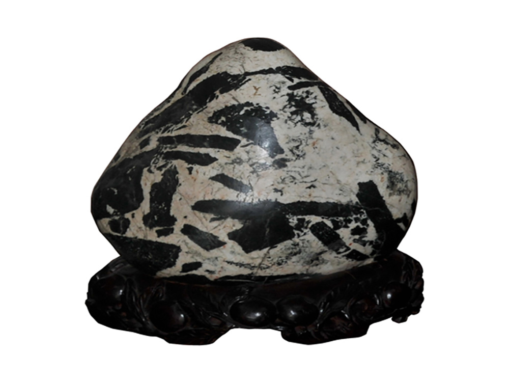 菲律宾环球国际360|主页