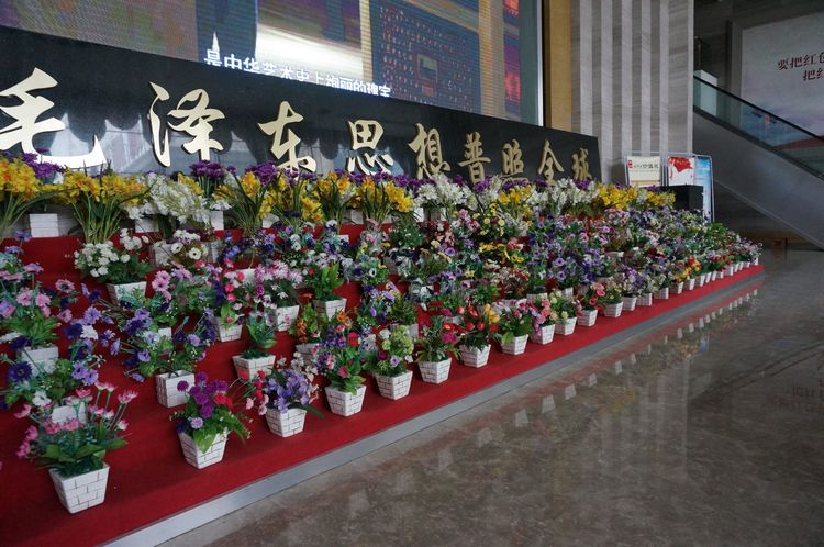 菲律宾环球国际360|主页