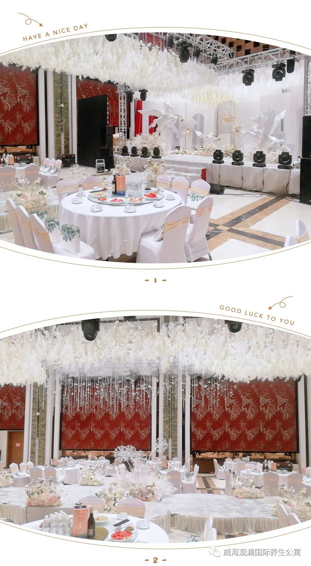 菲律宾环球国际360|主页