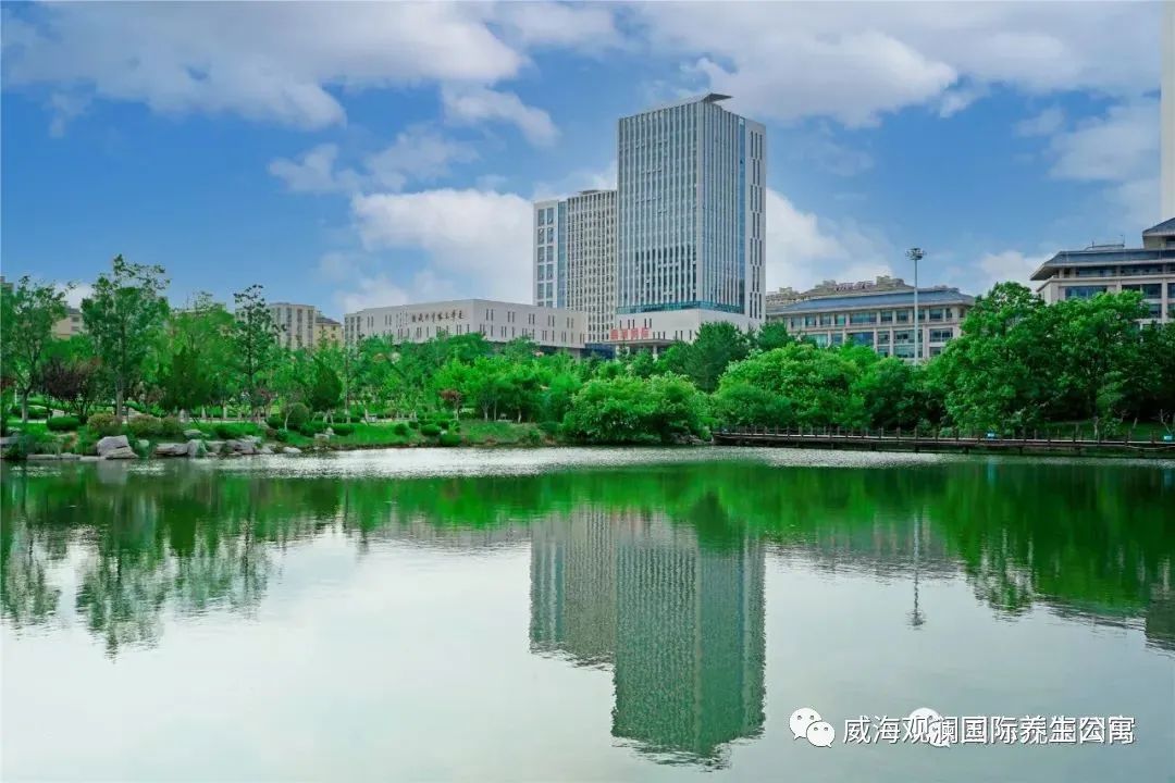 菲律宾环球国际360|主页